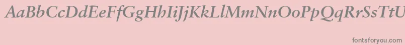 fuente SabonCeBolditalic – Fuentes Grises Sobre Fondo Rosa