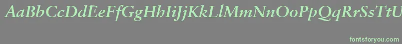 SabonCeBolditalic Font – Green Fonts on Gray Background