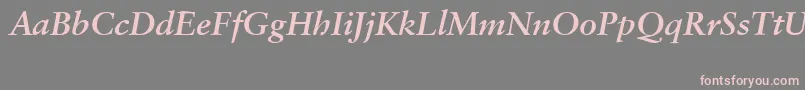 SabonCeBolditalic Font – Pink Fonts on Gray Background