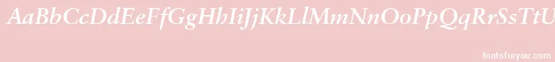 SabonCeBolditalic Font – White Fonts on Pink Background
