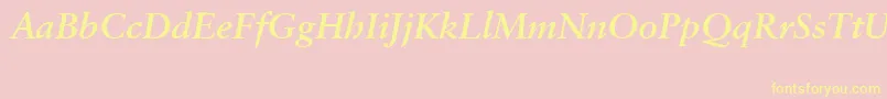 SabonCeBolditalic Font – Yellow Fonts on Pink Background