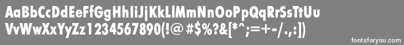Futurafuturiscondboldc Font – White Fonts on Gray Background