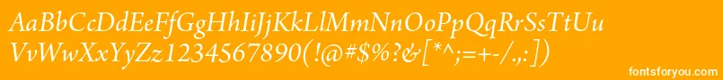 ArnoproItalicsubhead-Schriftart – Weiße Schriften auf orangefarbenem Hintergrund