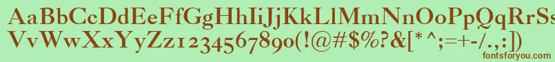 CaslonClassicoBold Font – Brown Fonts on Green Background