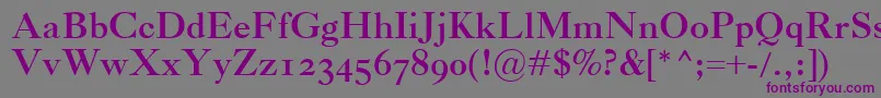 CaslonClassicoBold-Schriftart – Violette Schriften auf grauem Hintergrund