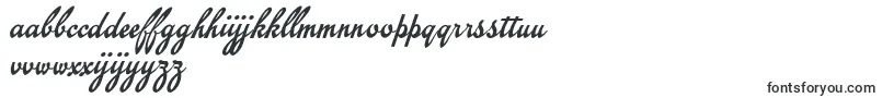 Шрифт EmiralscriptPersonalUse – нидерландские шрифты