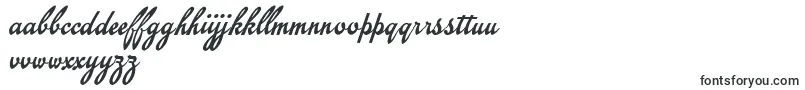 Шрифт EmiralscriptPersonalUse – португальские шрифты (бразильские)