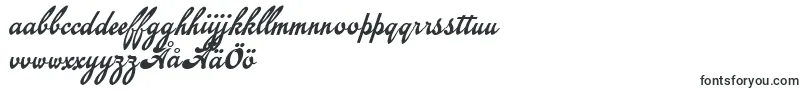 Шрифт EmiralscriptPersonalUse – шведские шрифты