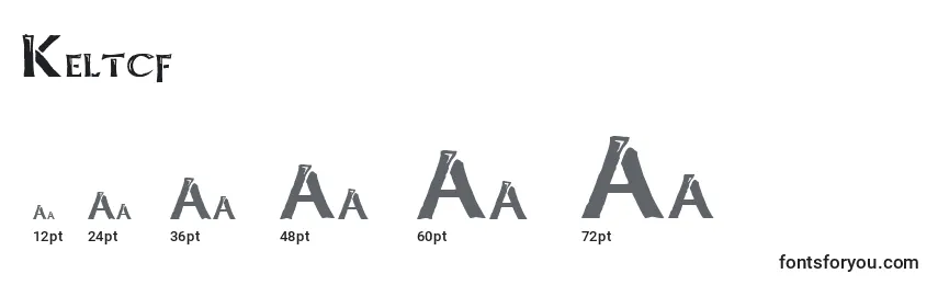 Keltcf Font Sizes