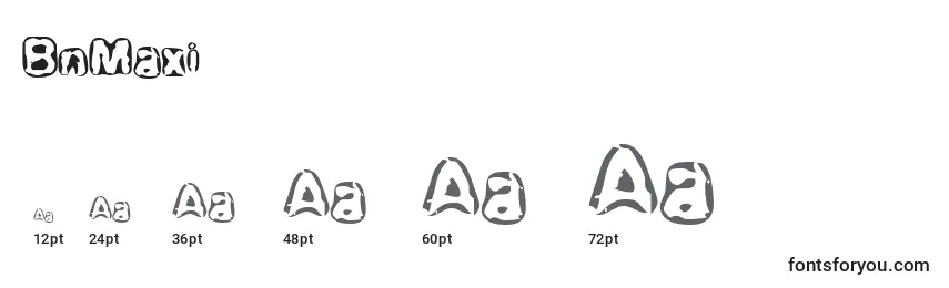BnMaxi Font Sizes