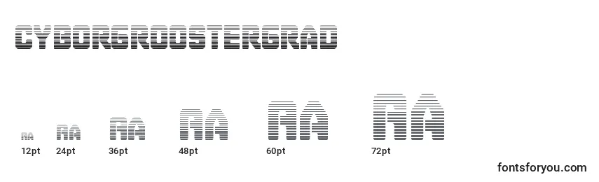 Cyborgroostergrad Font Sizes