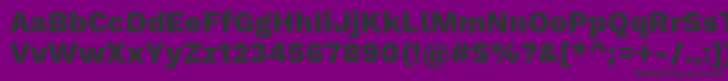 WorksansExtrabold Font – Black Fonts on Purple Background