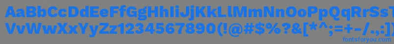 フォントWorksansExtrabold – 灰色の背景に青い文字