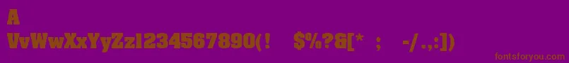 SafariExbold Font – Brown Fonts on Purple Background