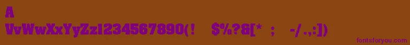 SafariExbold Font – Purple Fonts on Brown Background