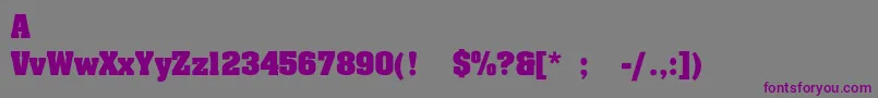 SafariExbold Font – Purple Fonts on Gray Background