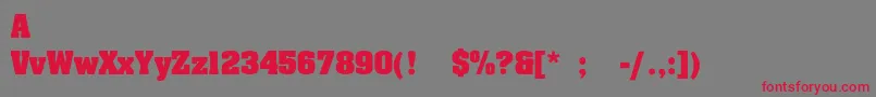 SafariExbold Font – Red Fonts on Gray Background