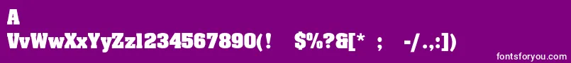 SafariExbold Font – White Fonts on Purple Background