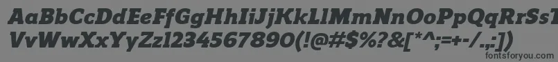 Więcej informacji o czcionce ReganslabBlackitalic Czcionka ReganslabBlackitalic – czarne czcionki na szarym tle