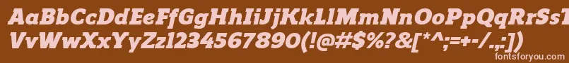 Czcionka ReganslabBlackitalic – różowe czcionki na brązowym tle