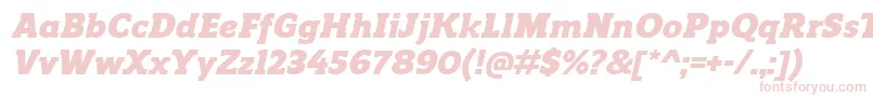 Police ReganslabBlackitalic – polices roses