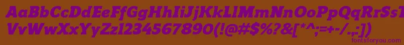 Czcionka ReganslabBlackitalic – fioletowe czcionki na brązowym tle