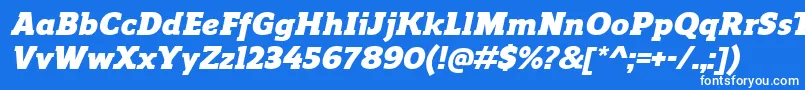 Czcionka ReganslabBlackitalic – białe czcionki na niebieskim tle