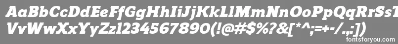 フォントReganslabBlackitalic – 灰色の背景に白い文字