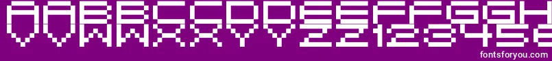 Birdy Font – White Fonts on Purple Background