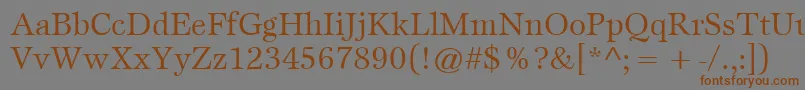 Шрифт ItcEspritLtBook – коричневые шрифты на сером фоне