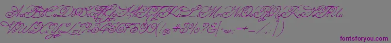 Шрифт Angelica – фиолетовые шрифты на сером фоне