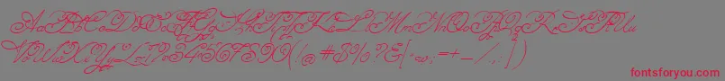 Angelica Font – Red Fonts on Gray Background