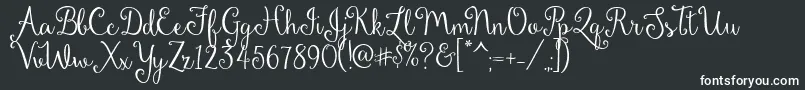 DandelionSoup Font – White Fonts on Black Background