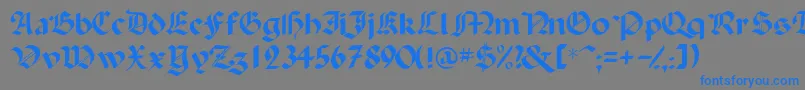 Ballistadisplayscriptssk Font – Blue Fonts on Gray Background