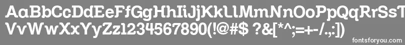 Zil Font – White Fonts on Gray Background
