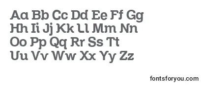 Review of the Zil Font