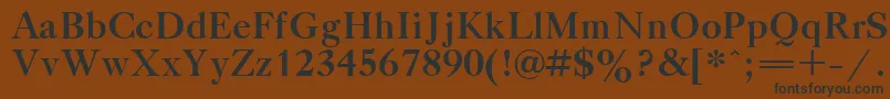 TitleBold Font – Black Fonts on Brown Background