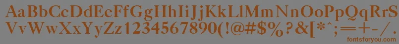 フォントTitleBold – 茶色の文字が灰色の背景にあります。