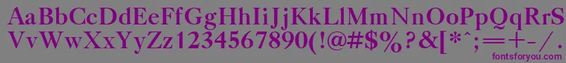 TitleBold Font – Purple Fonts on Gray Background