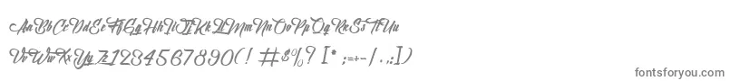 フォントBirthOfTheFurious – 白い背景に灰色の文字