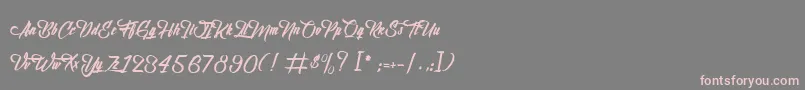 フォントBirthOfTheFurious – 灰色の背景にピンクのフォント