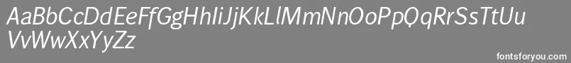 Wendelinnormalkursiv Font – White Fonts on Gray Background