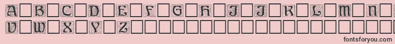 Annregular Font – Black Fonts on Pink Background