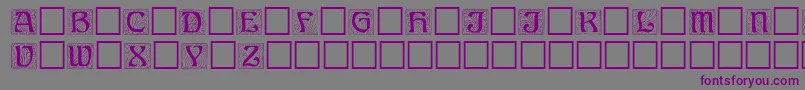 Annregular Font – Purple Fonts on Gray Background