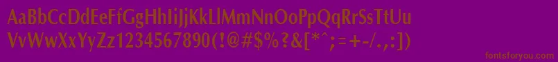 OptanecompactBold Font – Brown Fonts on Purple Background