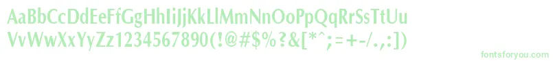 OptanecompactBold Font – Green Fonts