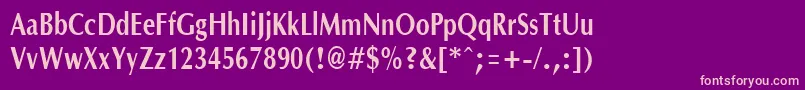 OptanecompactBold Font – Pink Fonts on Purple Background