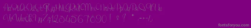 SecretOfTheOctopus Font – Gray Fonts on Purple Background