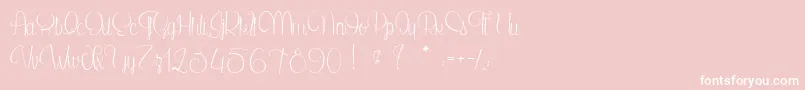 SecretOfTheOctopus Font – White Fonts on Pink Background