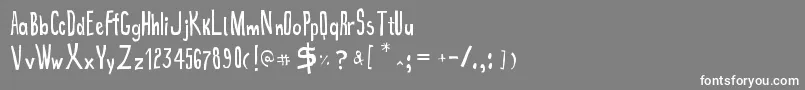 True2d Font – White Fonts on Gray Background